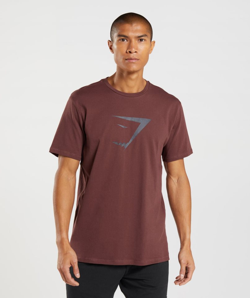 Men\'s Gymshark Sharkhead Infill T-Shirts Brown | CA D3N061